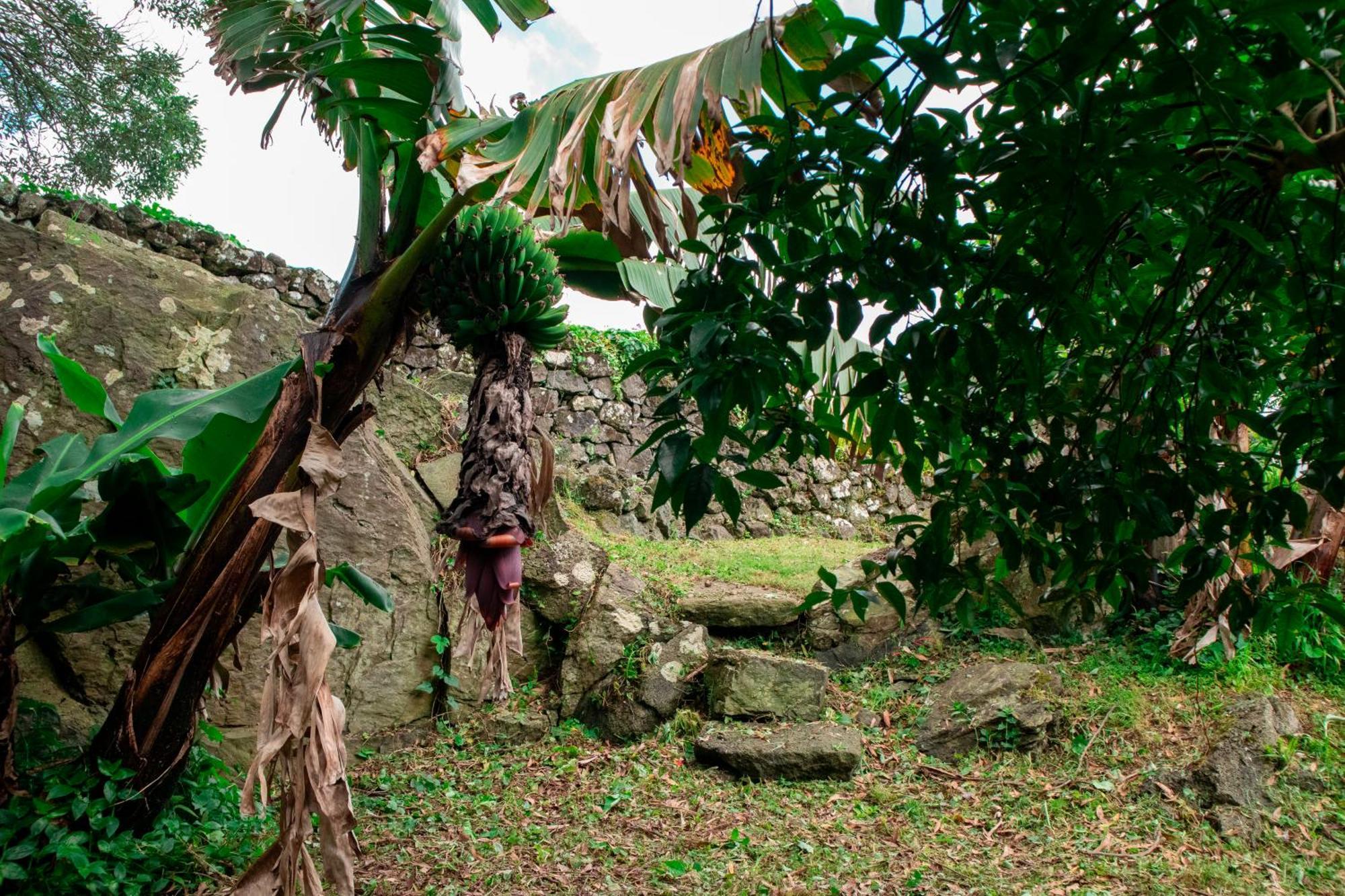 Casa De Campo Franco Da Serra Angra do Heroísmo Kültér fotó